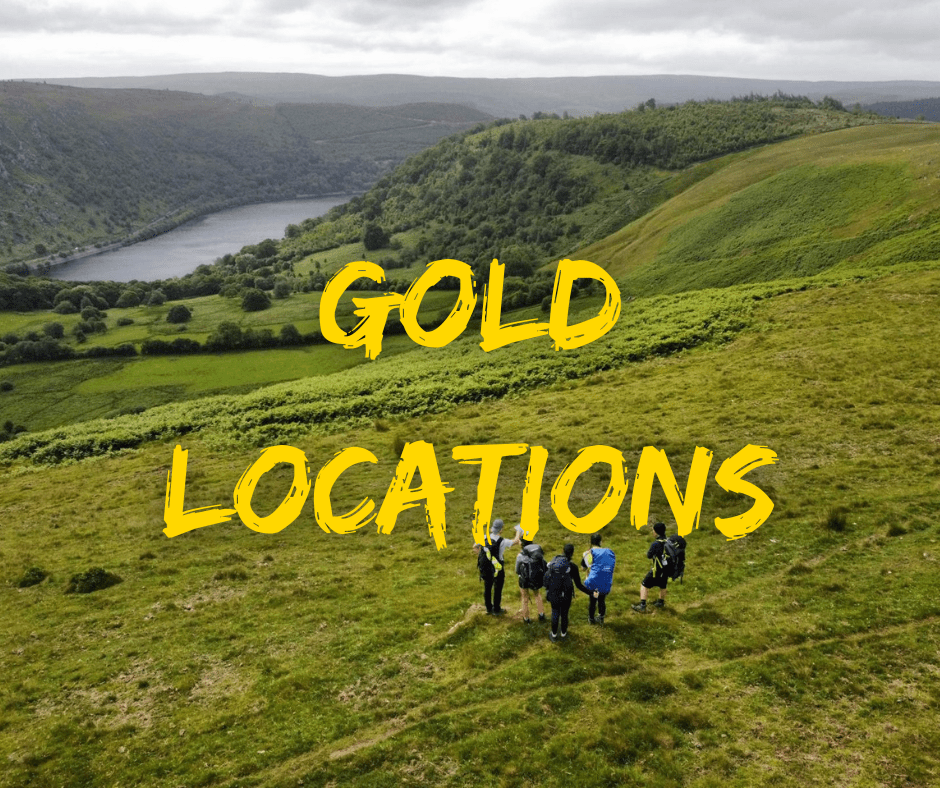 gold dofe